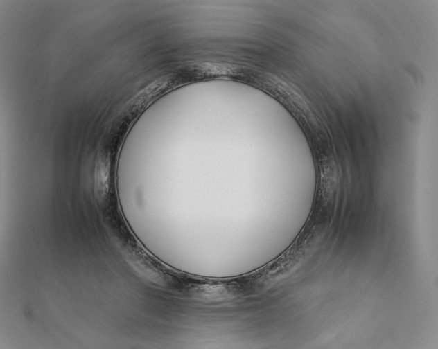 X0000112070406200908251047