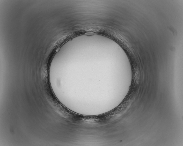 X0000112070407200908251047