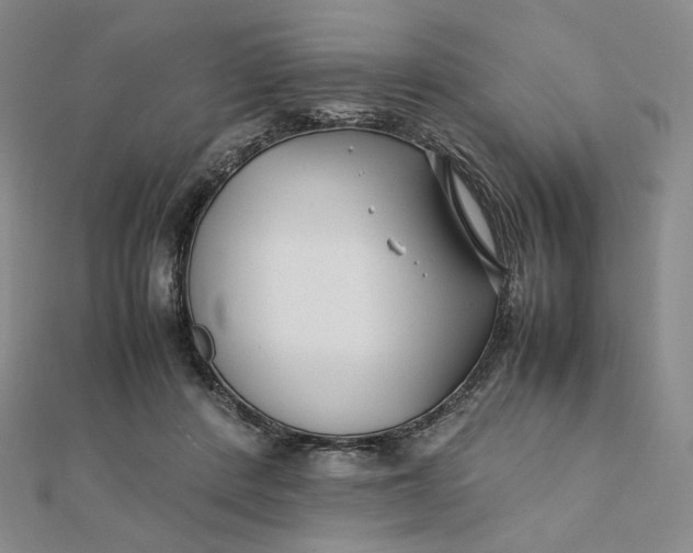 X0000112070408200908251047