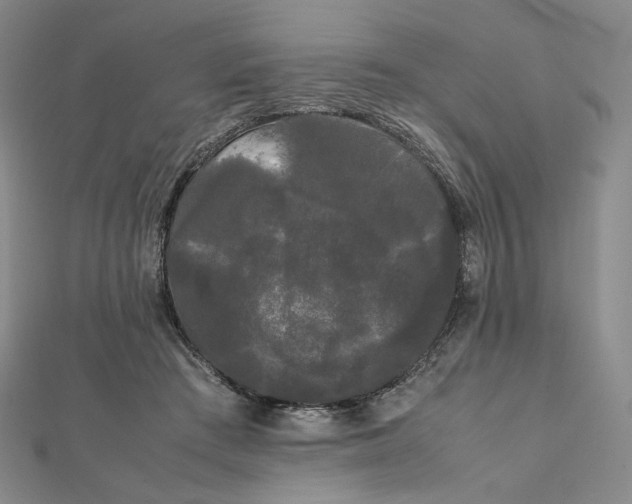 X0000112070409200908251047