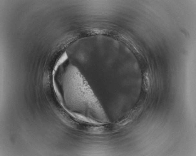 X0000112070410200908251047