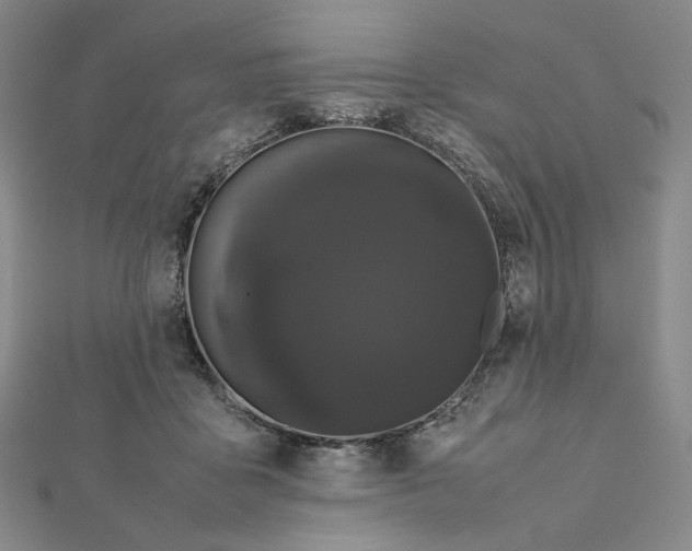 X0000112070411200908251047