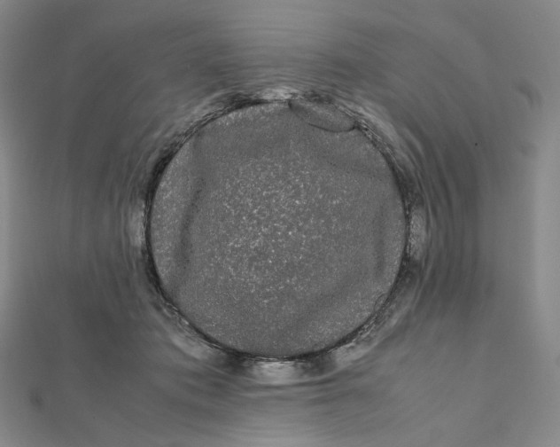 X0000112070413200908251047