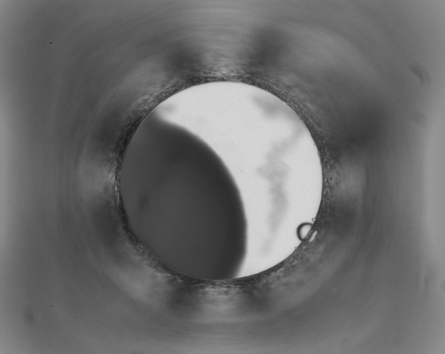 X0000112070415200908251047