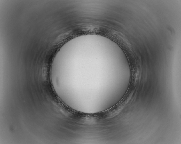 X0000112070416200908251047