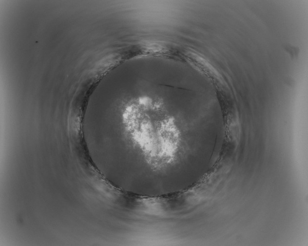 X0000112070417200908251047