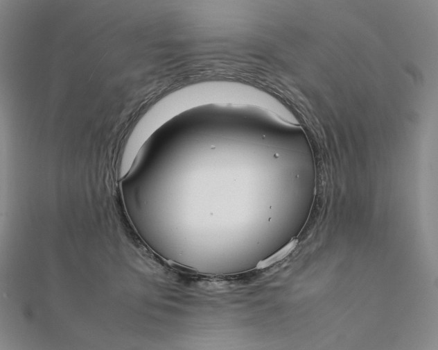 X0000112070419200908251047