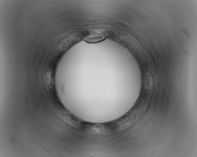 X0000112070420200908251047
