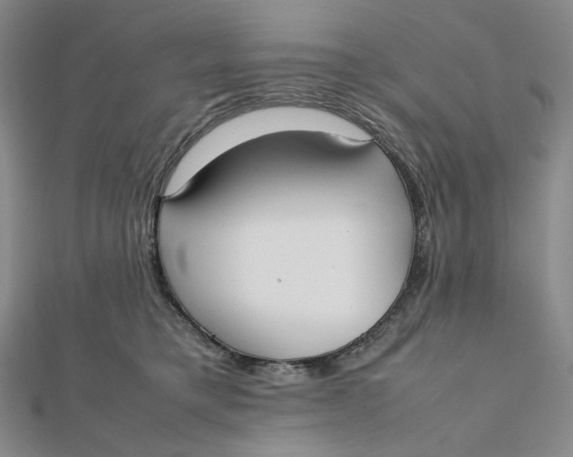 X0000112070421200908251047