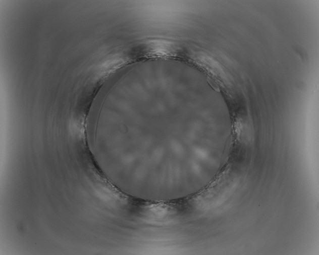 X0000112070423200908251047