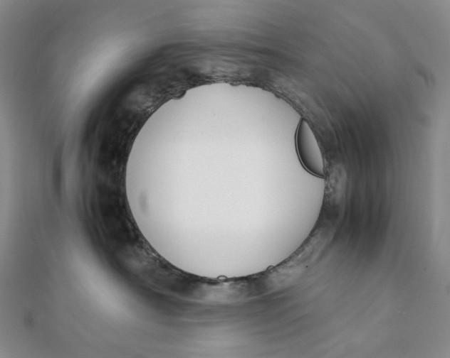 X0000112070430200908251047