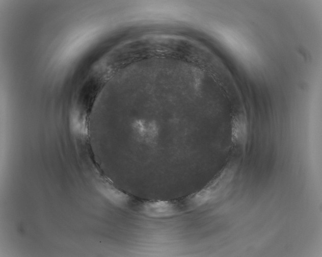 X0000112070431200908251047