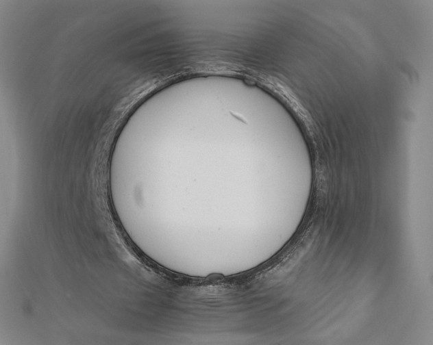 X0000112070433200908251046