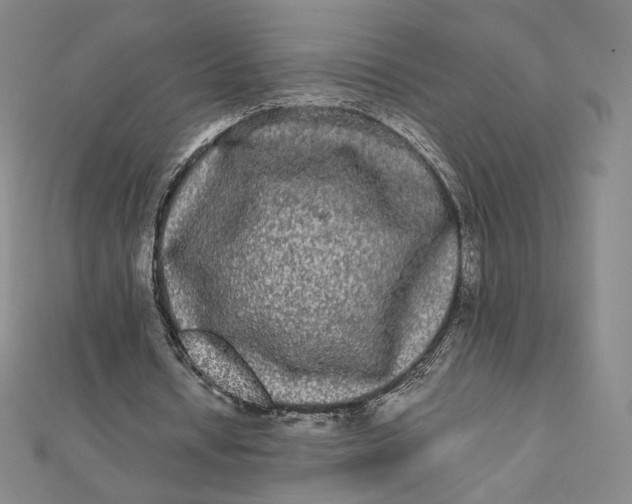 X0000112070434200908251046