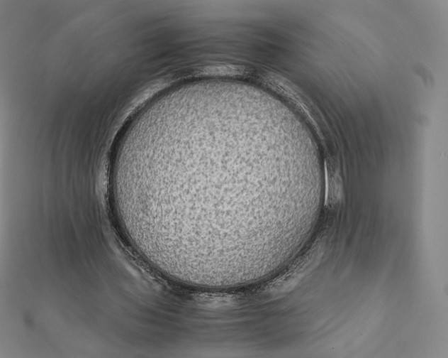 X0000112070435200908251046