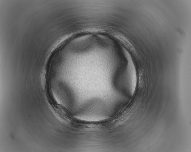 X0000112070436200908251046