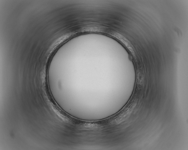 X0000112070437200908251046