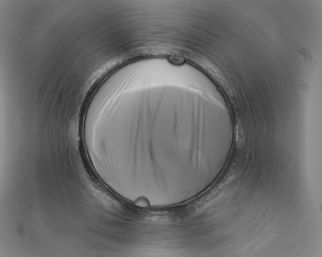 X0000112070438200908251046