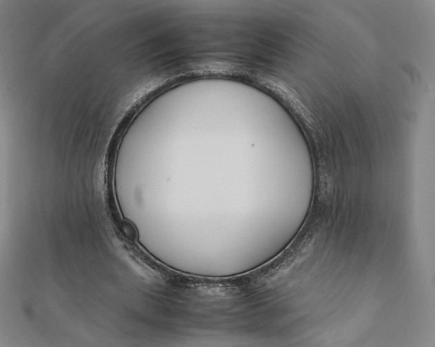 X0000112070439200908251046