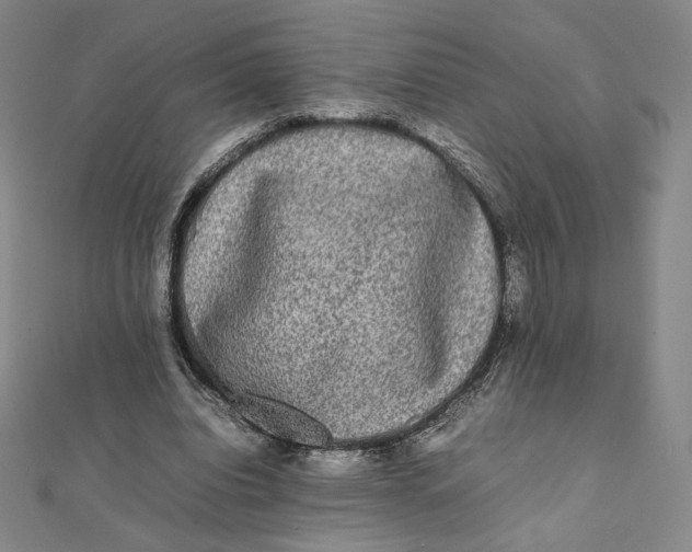 X0000112070440200908251046