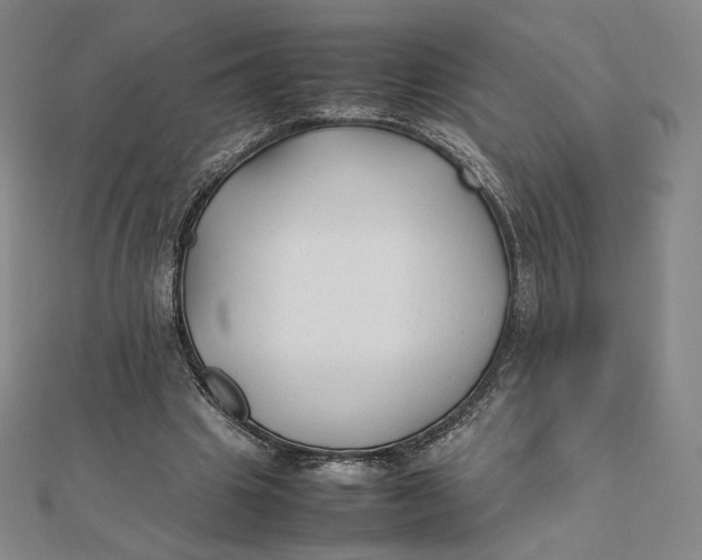 X0000112070441200908251046
