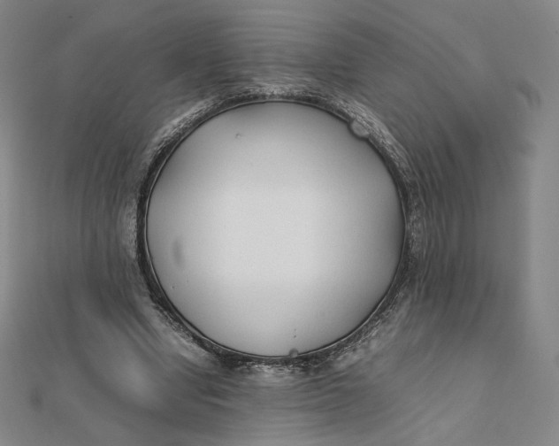 X0000112070442200908251046