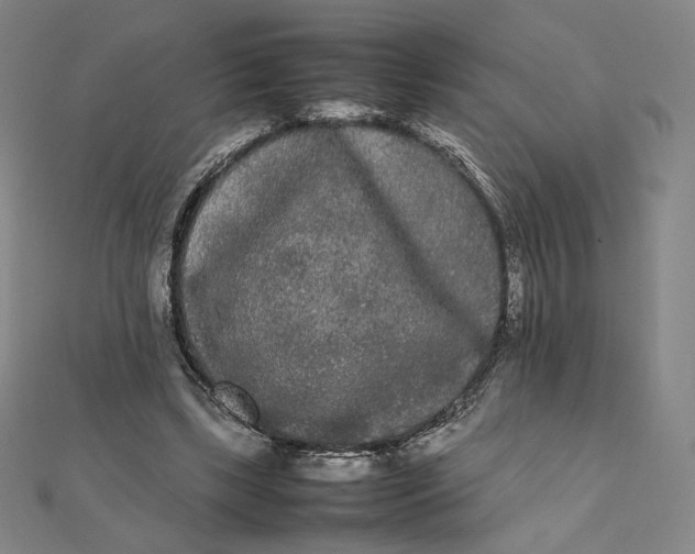 X0000112070443200908251046