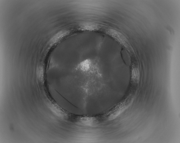 X0000112070444200908251046