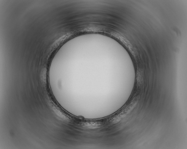 X0000112070445200908251046
