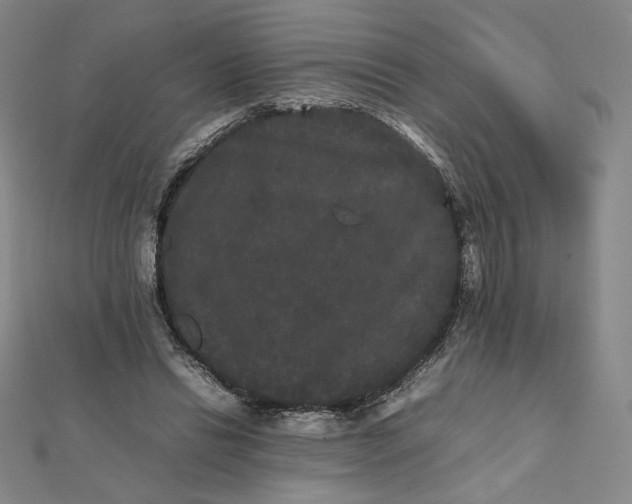 X0000112070446200908251046