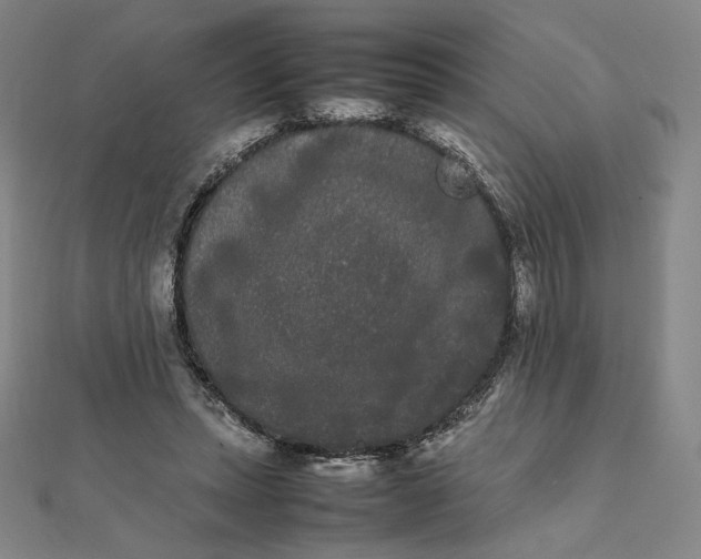 X0000112070447200908251046