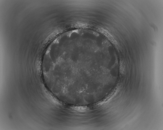 X0000112070449200908251046