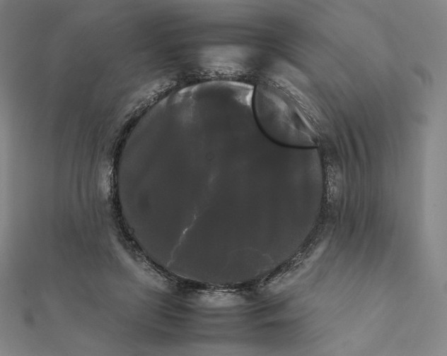 X0000112070451200908251046
