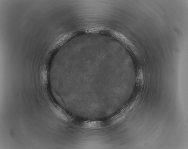 X0000112070452200908251046
