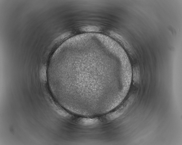 X0000112070453200908251046