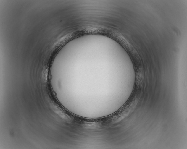X0000112070454200908251046