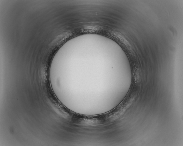 X0000112070455200908251046