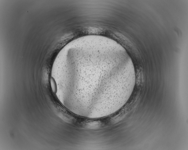 X0000112070456200908251046