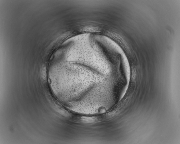 X0000112070457200908251046