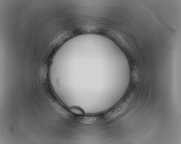 X0000112070458200908251046
