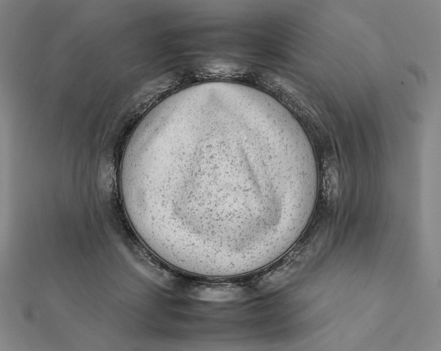 X0000112070459200908251046