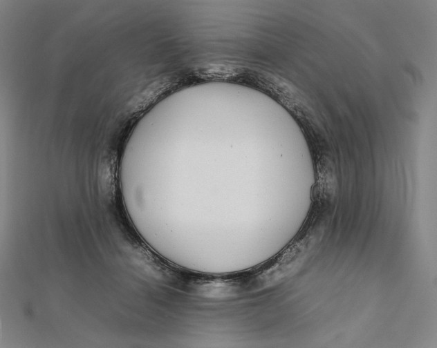 X0000112070460200908251046
