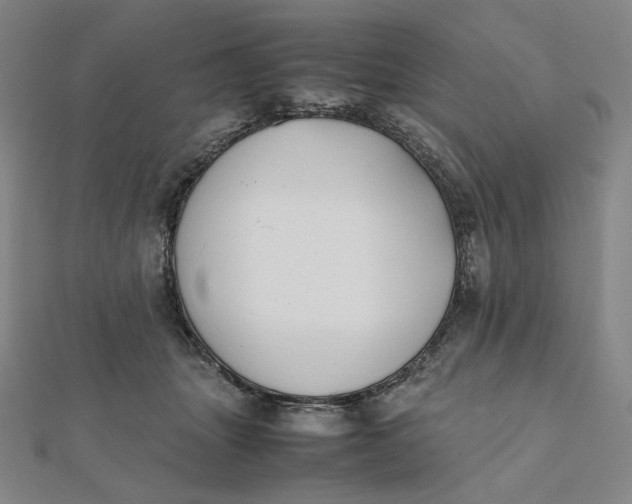 X0000112070463200908251046