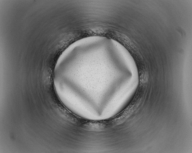X0000112070464200908251046