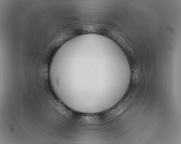 X0000112070466200908251046