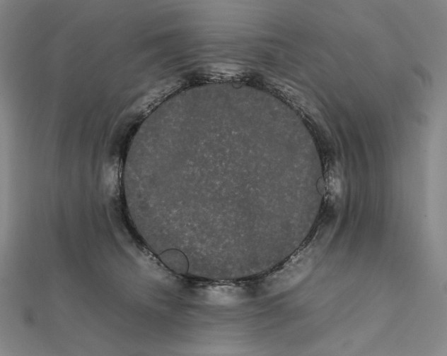 X0000112070468200908251046