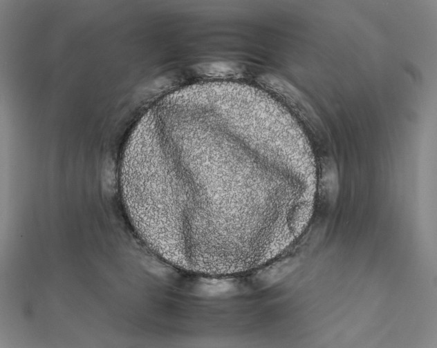 X0000112070469200908251046
