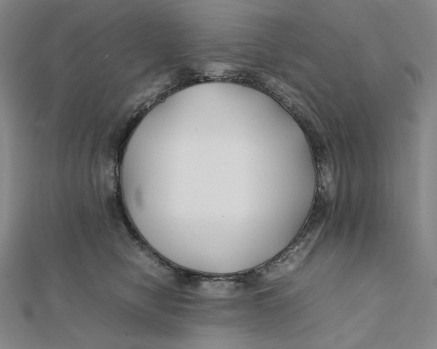 X0000112070470200908251046