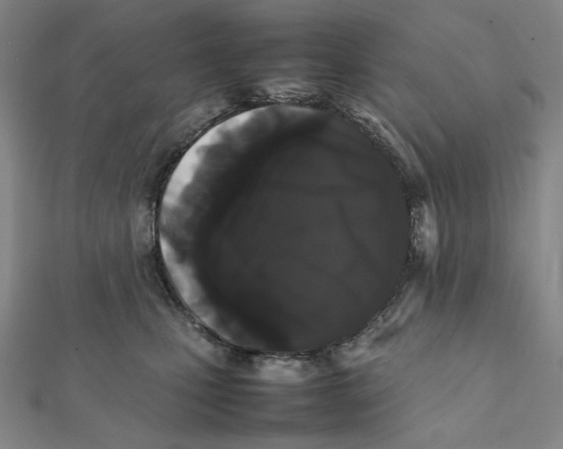 X0000112070471200908251046