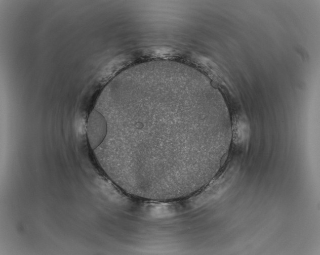 X0000112070472200908251046